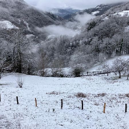La So Casa -En El Corazon De Asturias Villa Armiello Eksteriør billede