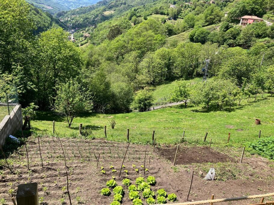 La So Casa -En El Corazon De Asturias Villa Armiello Eksteriør billede