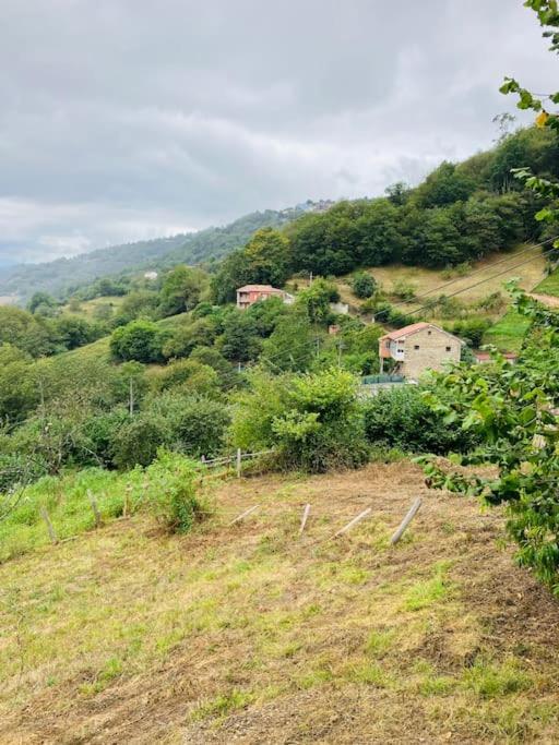 La So Casa -En El Corazon De Asturias Villa Armiello Eksteriør billede