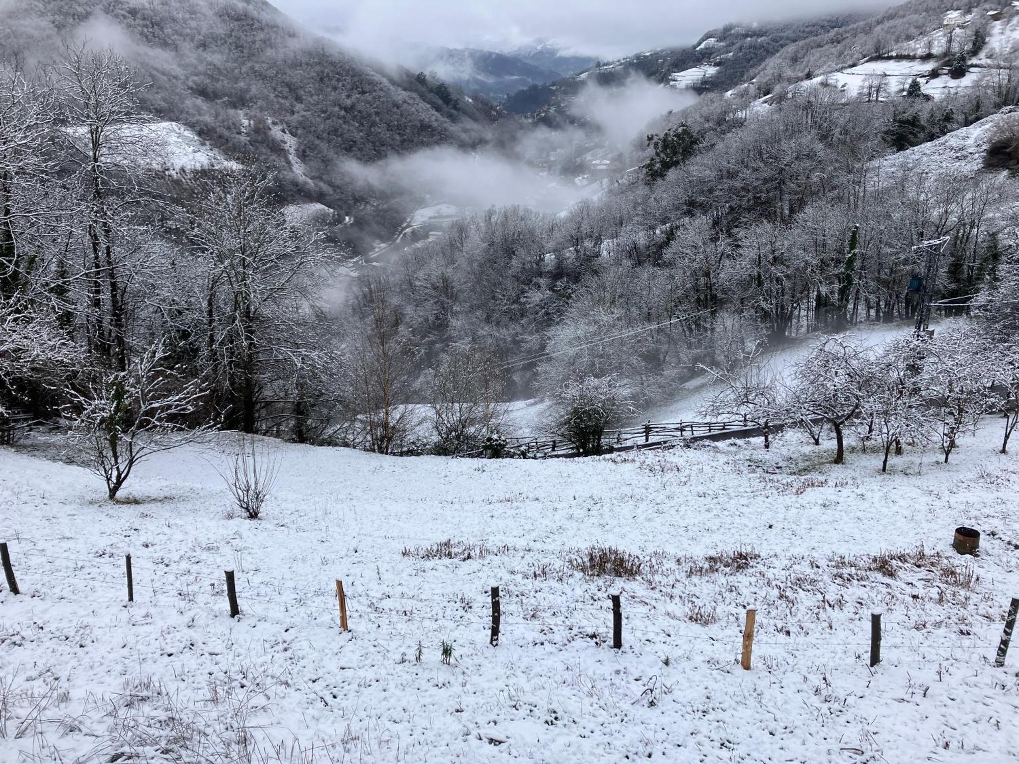 La So Casa -En El Corazon De Asturias Villa Armiello Eksteriør billede